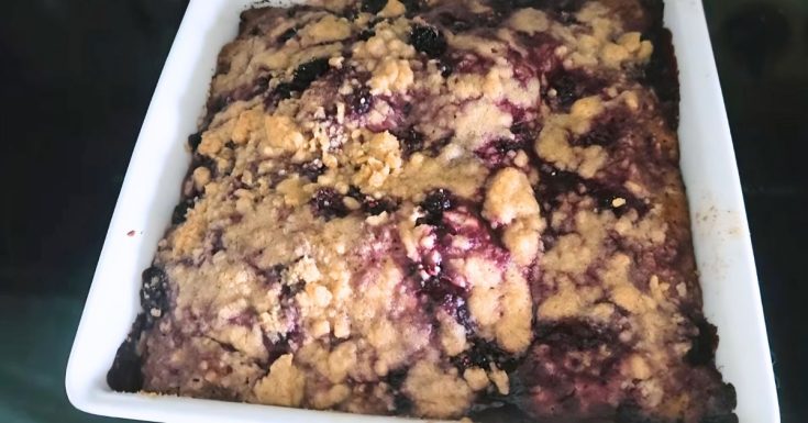 Cardamom and Vanilla Blackberry Coffee Cake